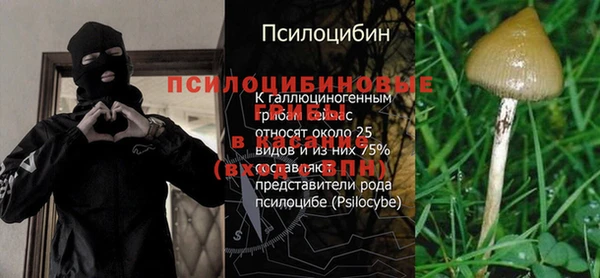 а пвп мука Инта