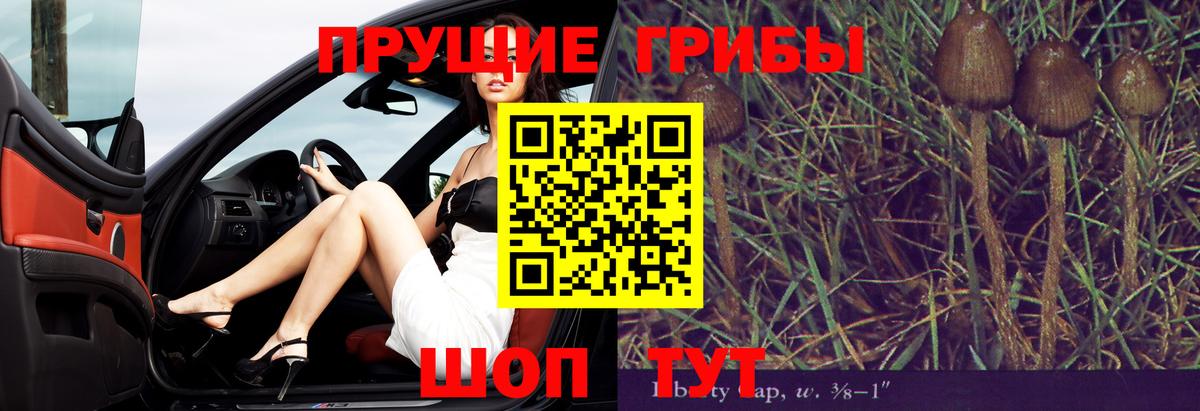 продажа наркотиков  Галлюциногенные грибы GOLDEN TEACHER  Вход с VPN  Отрадный 