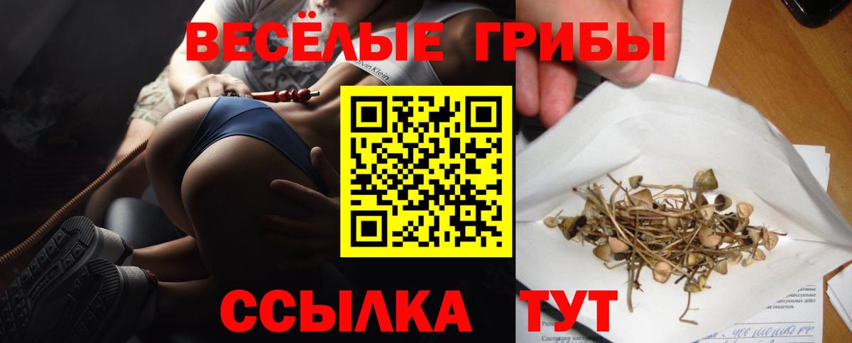 Псилоцибиновые грибы MAGIC MUSHROOMS Отрадный